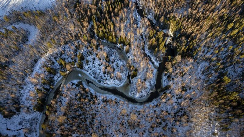 Предзимье фото превью