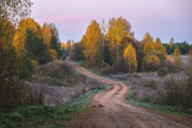 Дорога в осенний лесphoto preview
