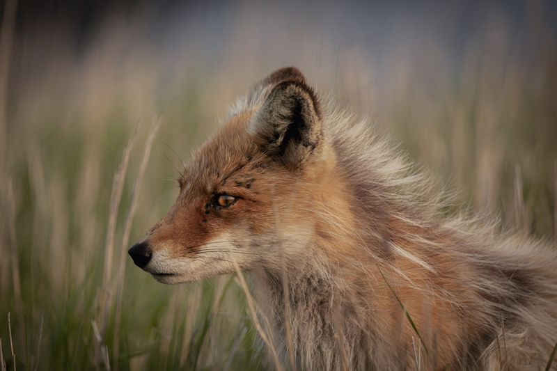 Взглядphoto preview