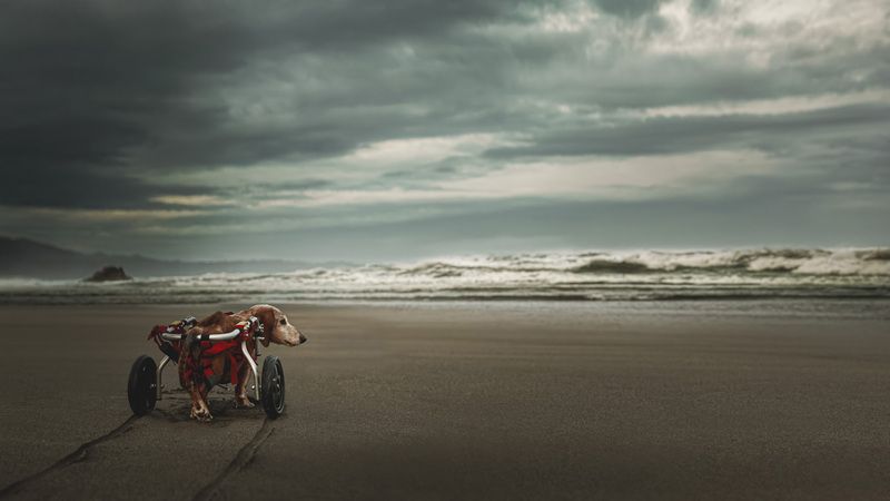 Достучаться до небесphoto preview