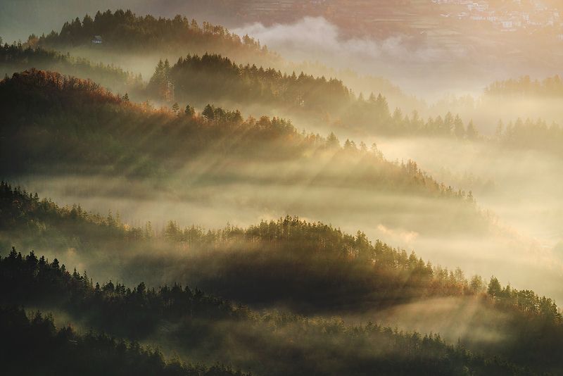 landscape, nature, scenery, summer, sunrise, morning, dawn, fog, foggy, mist, misty, clouds, mountain, trees, пейзаж, рассвет, горы Morning raysphoto preview