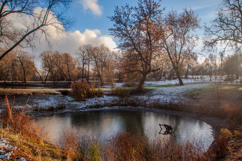 природа,гЧехов Предзимьеphoto preview