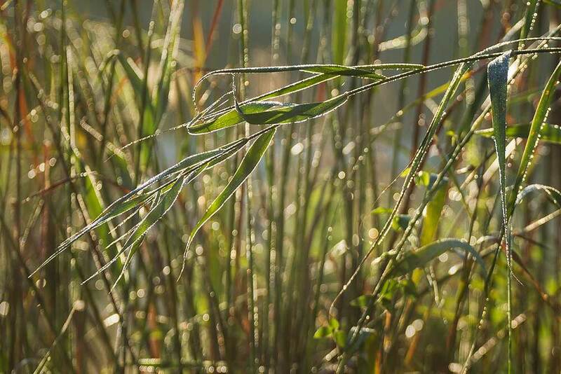 Наша осень...photo preview