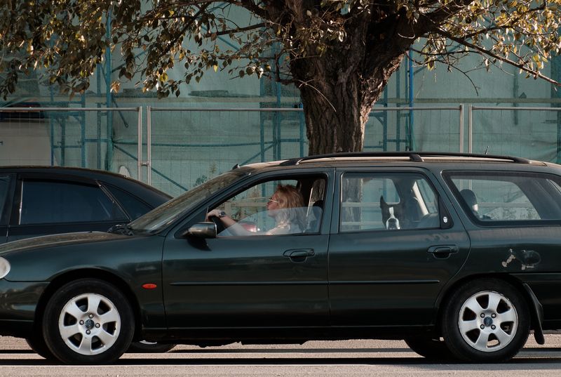 Пассажирphoto preview