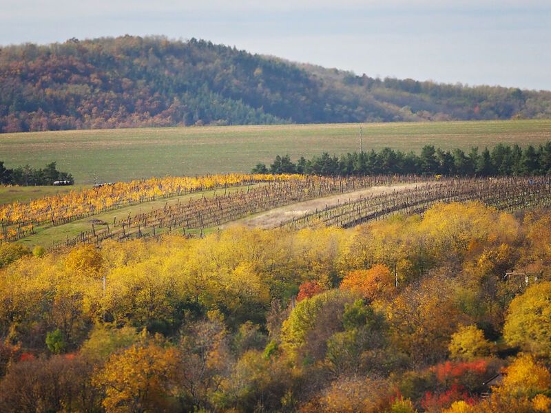 Autumn mixphoto preview