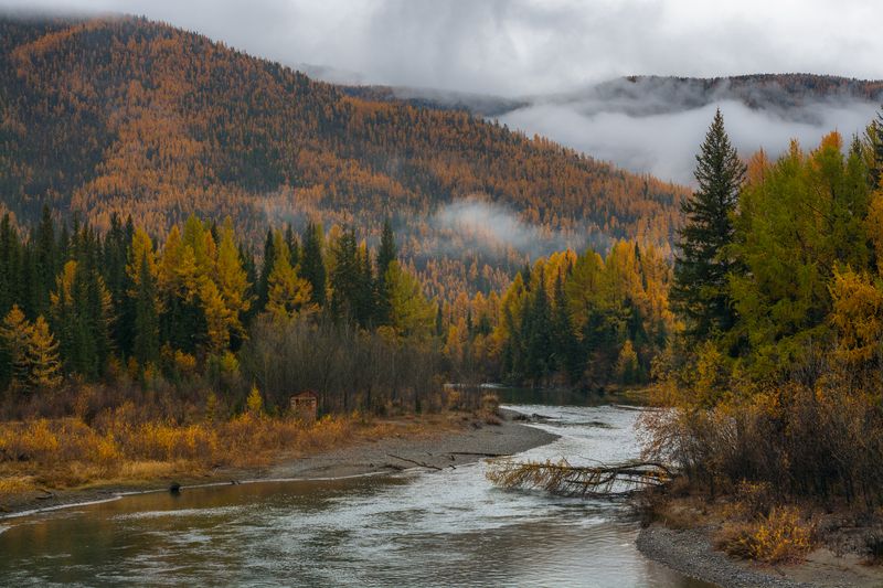 россия, горный алтай, река,осень, утро, туман Утро (после дождя)photo preview