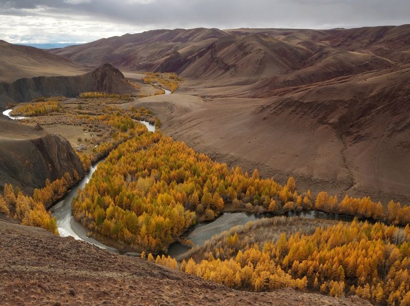 Желтая река фото превью