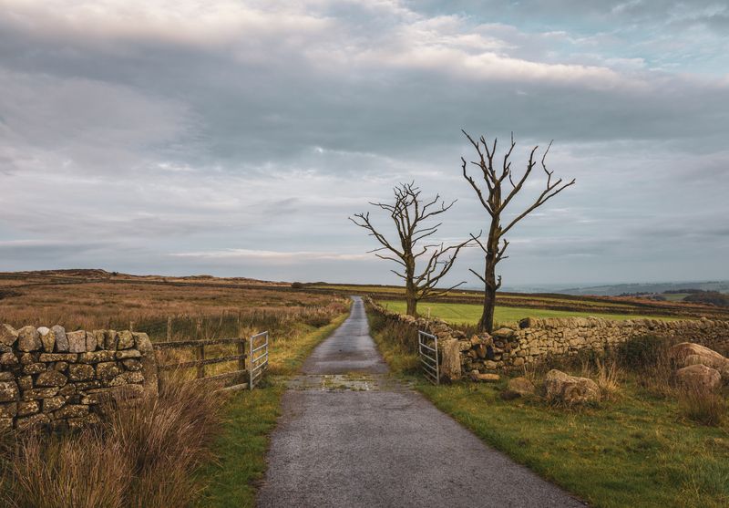 Осенний пейзажphoto preview