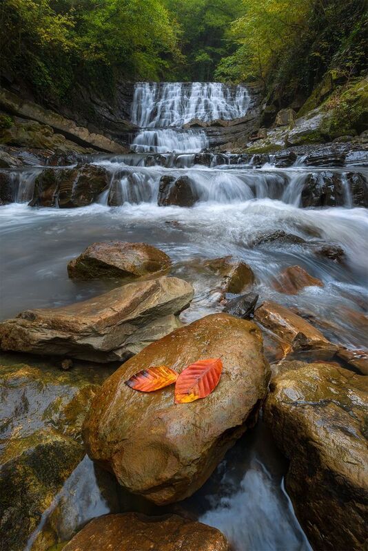 сочи, водопад, река, лес, осень Прощание с летом фото превью