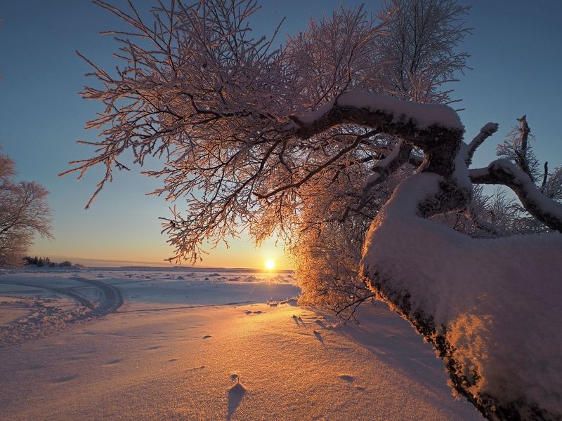 К солнцу фото превью