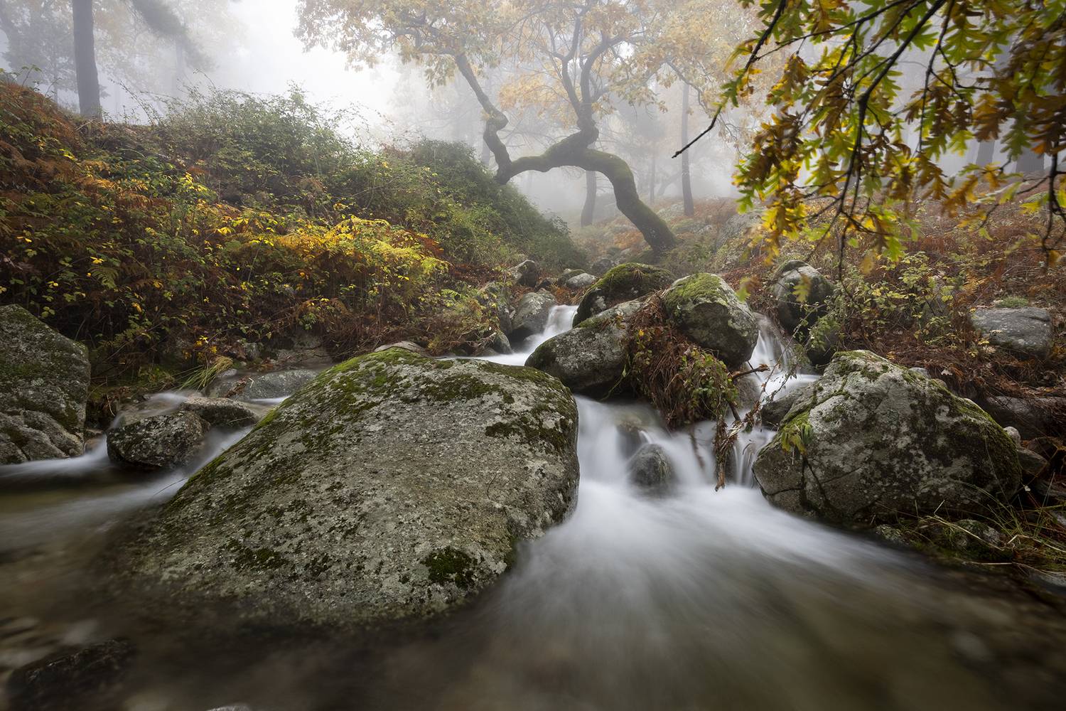 photography, mountain, spring, autumn, landscape, photo, awakening, flowers, land, landmark, lands, soft ligth, ligth, mountains, photo, river, jimenez millan samuel