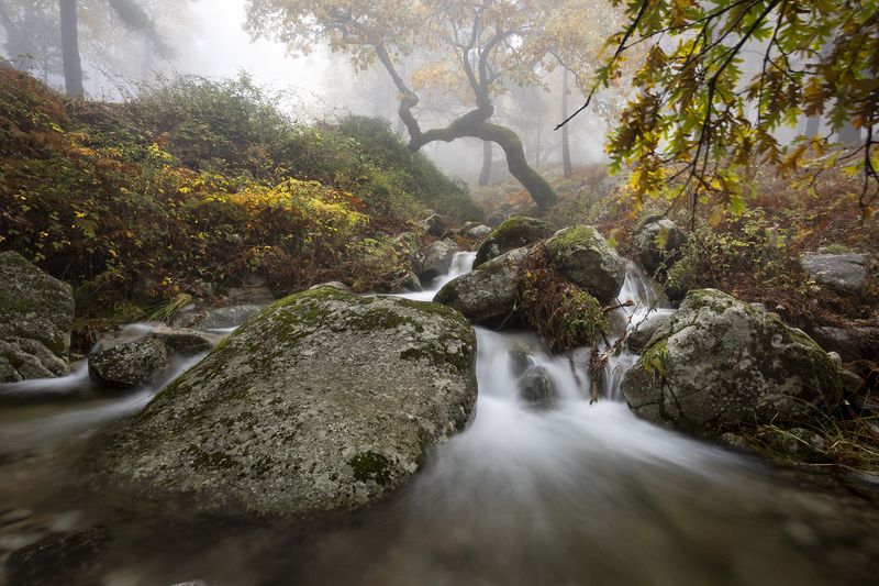photography, mountain, spring, autumn, landscape, photo, awakening, flowers, land, landmark, lands, soft ligth, ligth, mountains, photo, river Autumn ambientphoto preview