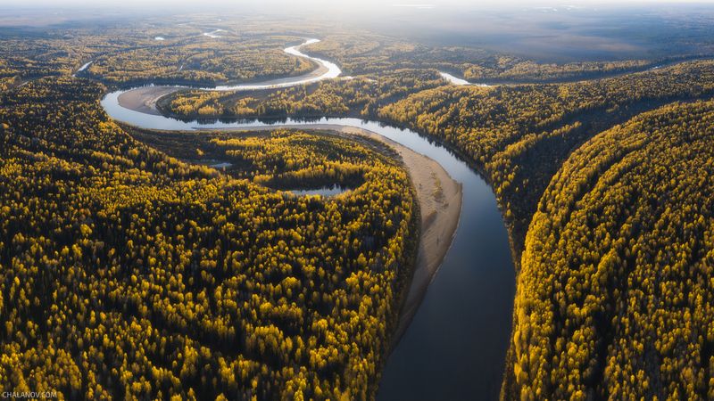 река, пейзаж, дрон, вычегда, коми, осень Осенние серпантины Вычегды фото превью