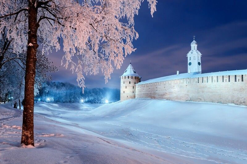 Embraced by winter veilsphoto preview