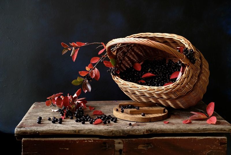 Still life, Aronia, Berries, Colors, Autumn, Mood,  Черноплодная рябинаphoto preview