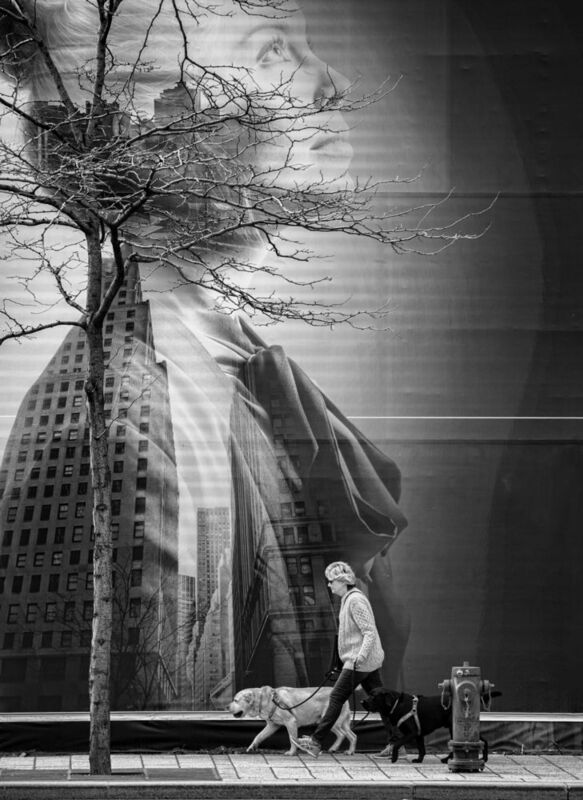 взглядphoto preview