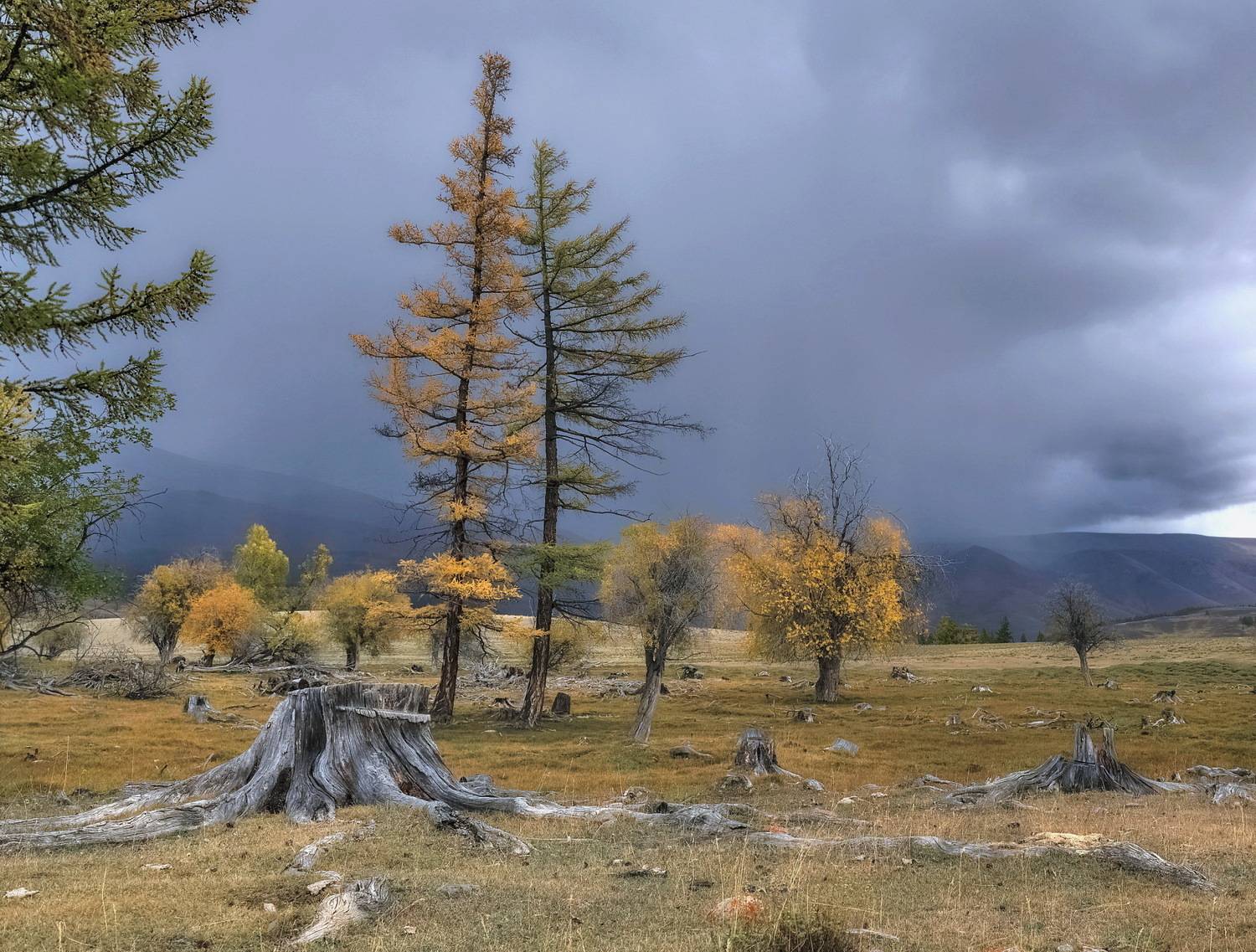 алтай, осень, непогода, Марина Фомина