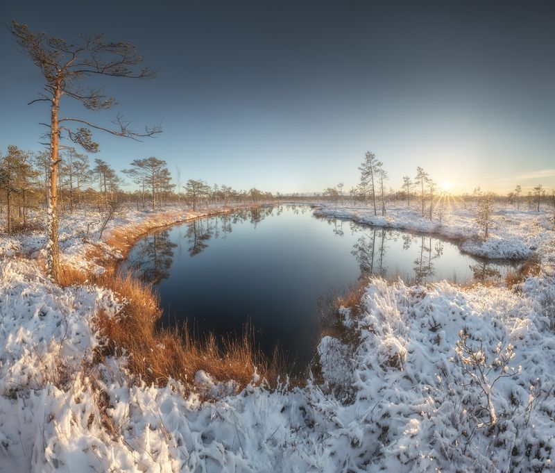 ленобласть, болото, ноябрь ***photo preview