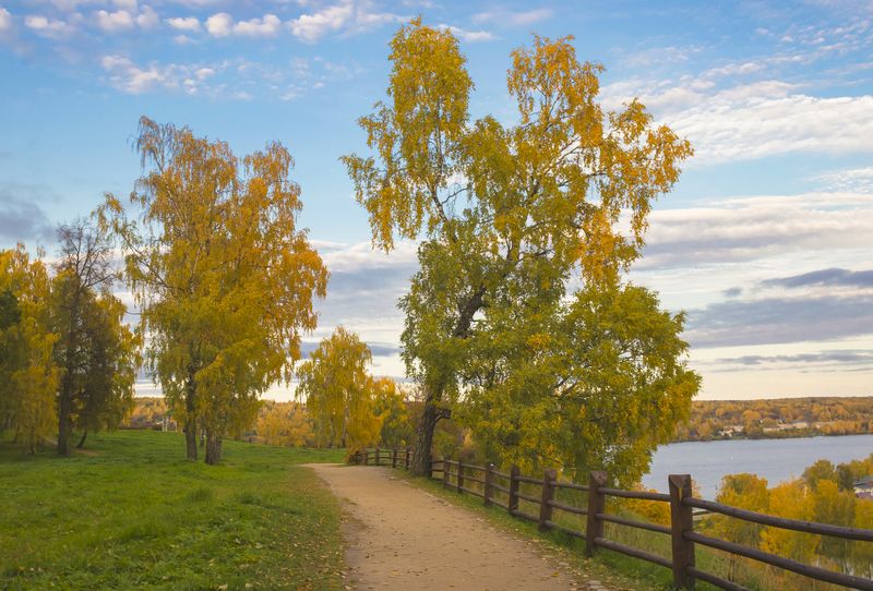 Плес, осень, Соборная гора деревья Осеньphoto preview