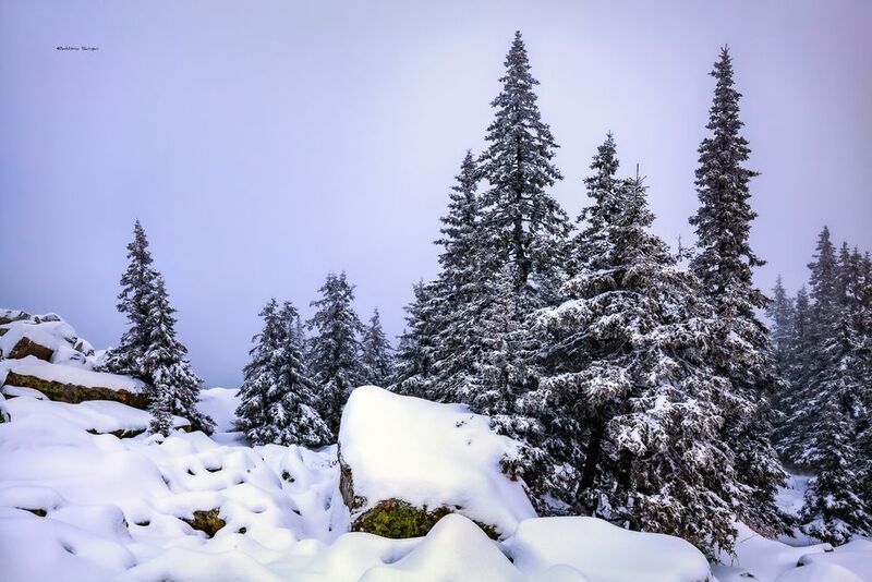 Природа Южного Уралаphoto preview