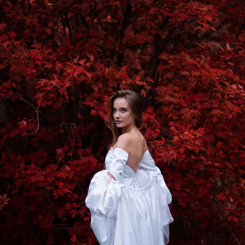 Untitledphoto preview