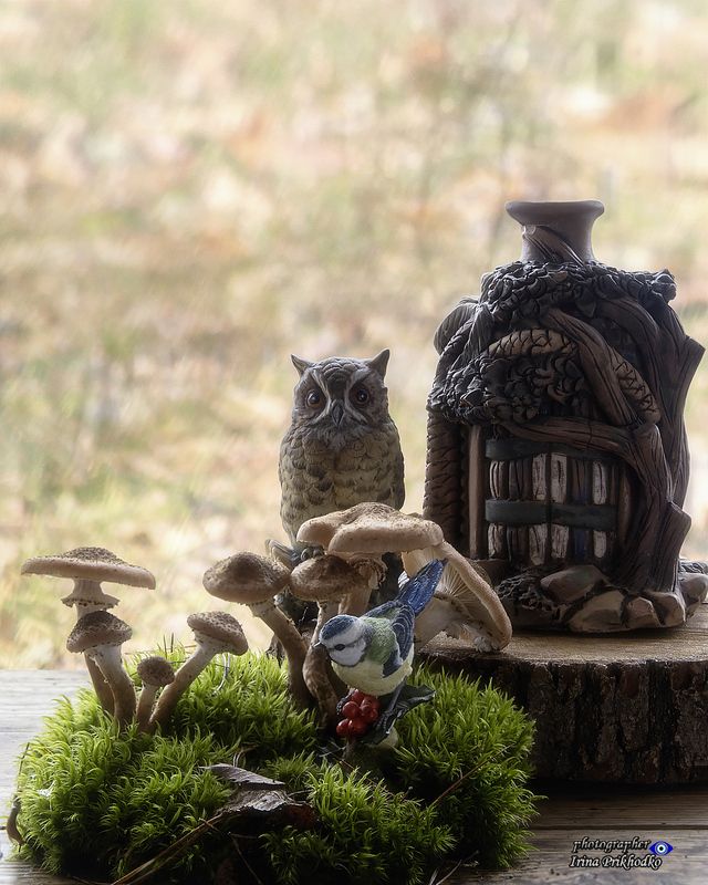 натюрморт, грибы, опята Сказки осеннего лесаphoto preview