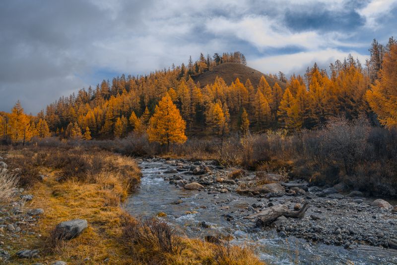 россия, горный алтай,осень,речка, ручей, облачно с прояснениями Осень золотаяphoto preview