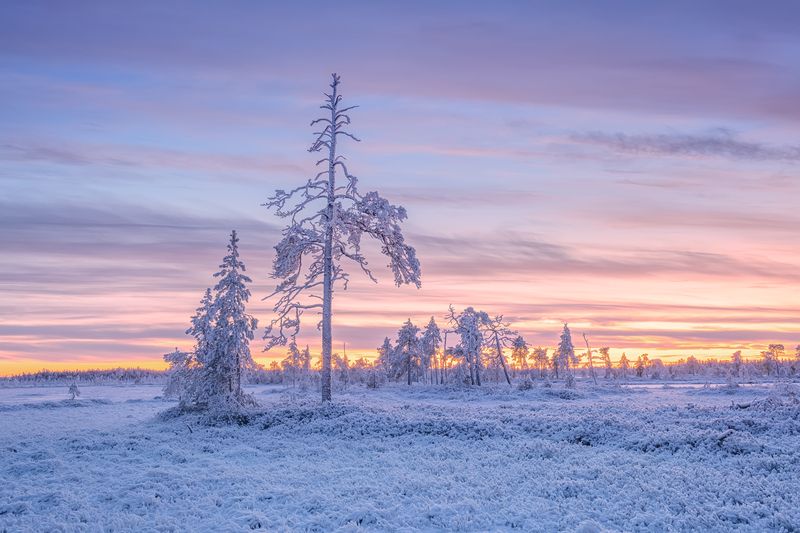Ноябрьский вечер в Карелии...photo preview