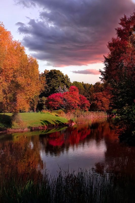 пейзаж, landscape, nature, природа, осень, autumn, золотаяосень, goldatum, закат, sunset, пруд ***photo preview