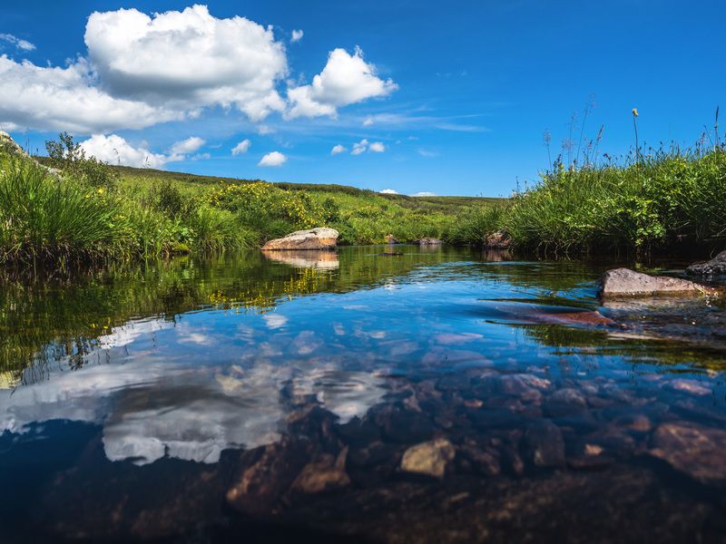 алтай Ештыколphoto preview