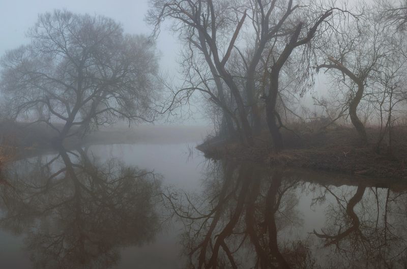 туман, река, весна photo preview