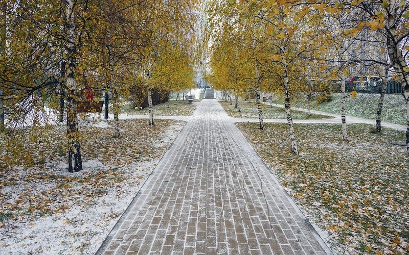 К нам вчера опять зима в гости заходилаphoto preview