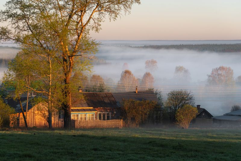 Утро в селеphoto preview