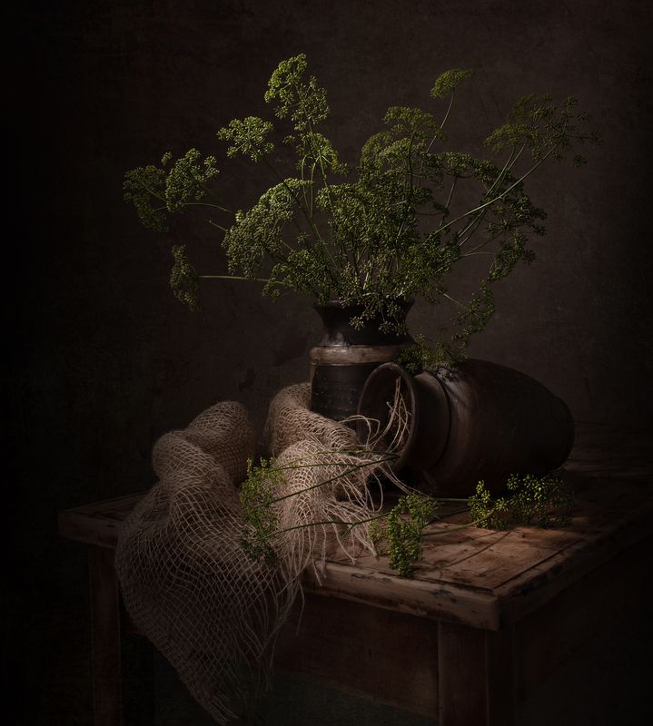 Still life, flowers, parsley, light, shadow, colors, textures Parsley Flowerphoto preview