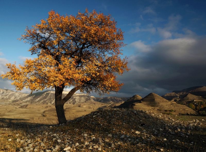 Дагестан,октябрь фото превью