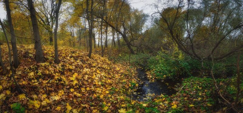 тула, тулица Осень, которая рядомphoto preview