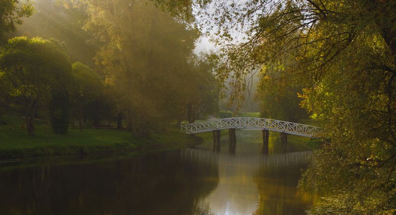 Пушкинские , Горы, усадьба, Михайловское, туман, мостик, Утро туманноеphoto preview