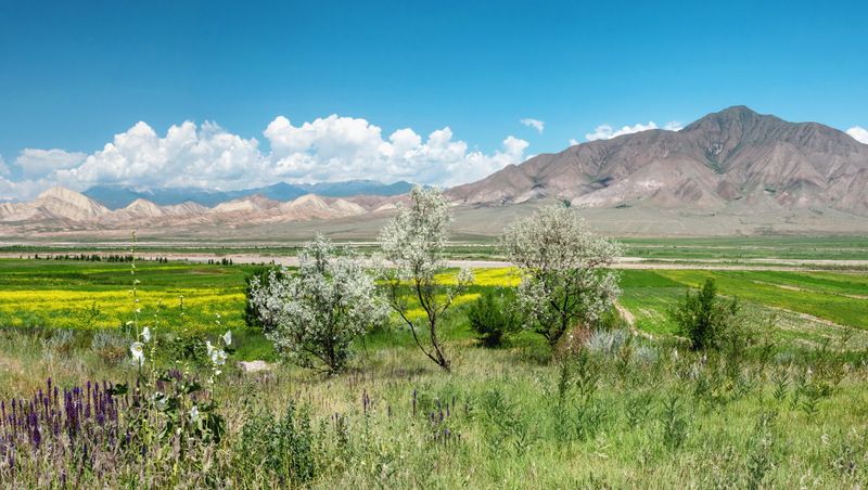 Кыргызстанphoto preview