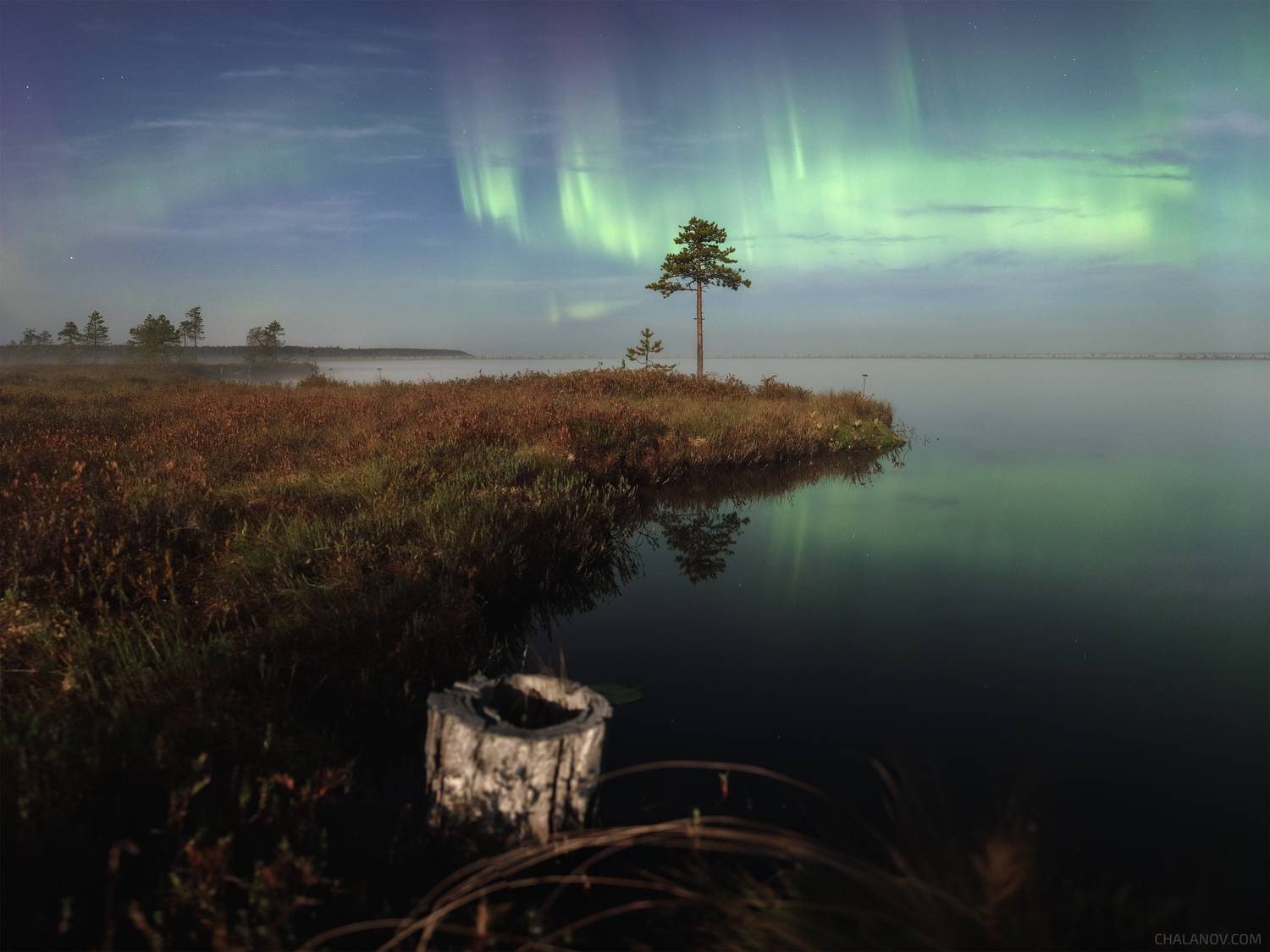Танец Авроры в полнолуние. Автор: Иван Чаланов пейзаж, северное сияние, ночь, луна, озеро, болото, осень, полярное сияние, Иван Чаланов