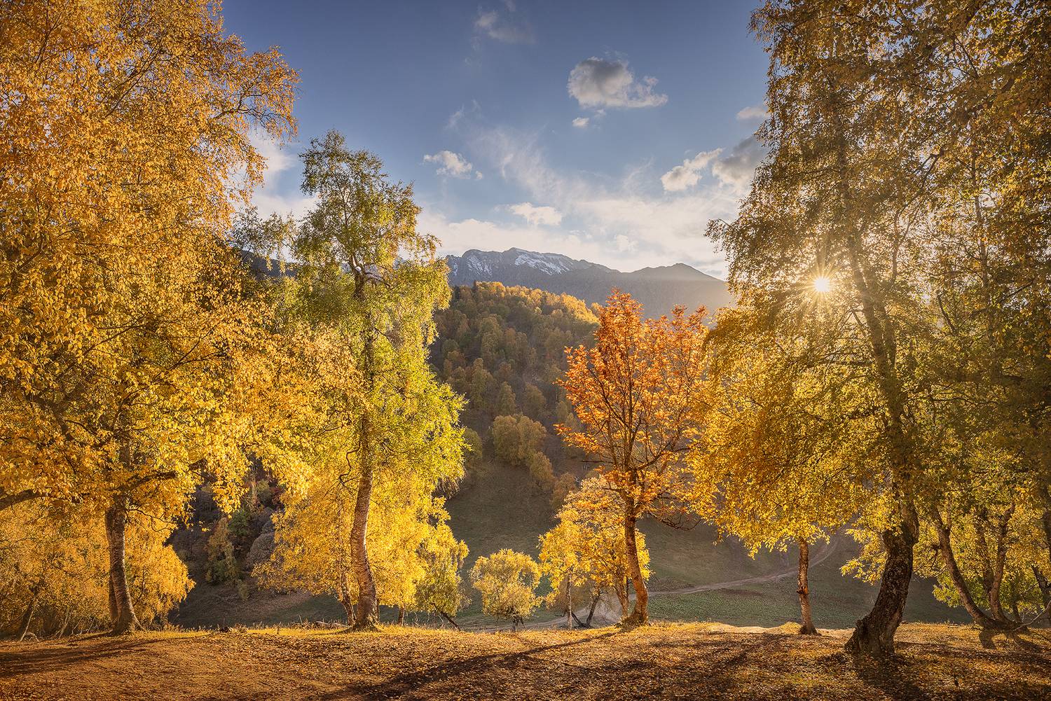 архыз, пхия, осень, пейзаж, Дмитрий Купрацевич