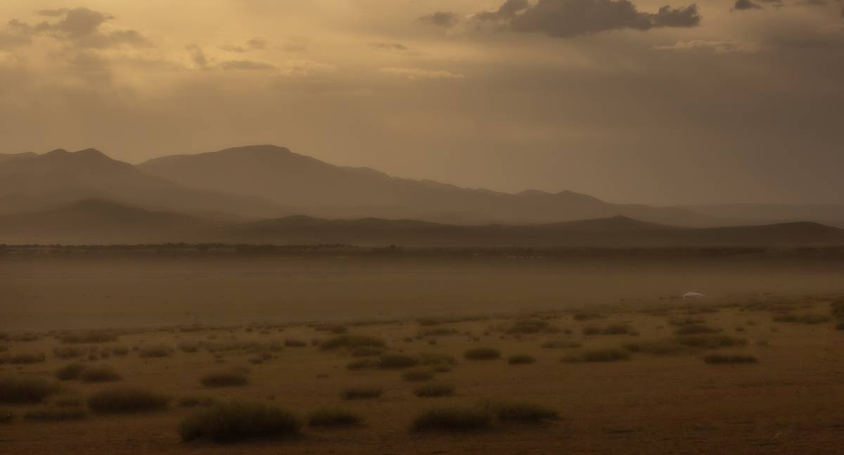 монголия, элсэн тасархай, рашант, Трофимов Алексей