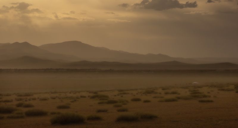 монголия, элсэн тасархай, рашант Пыльная буряphoto preview