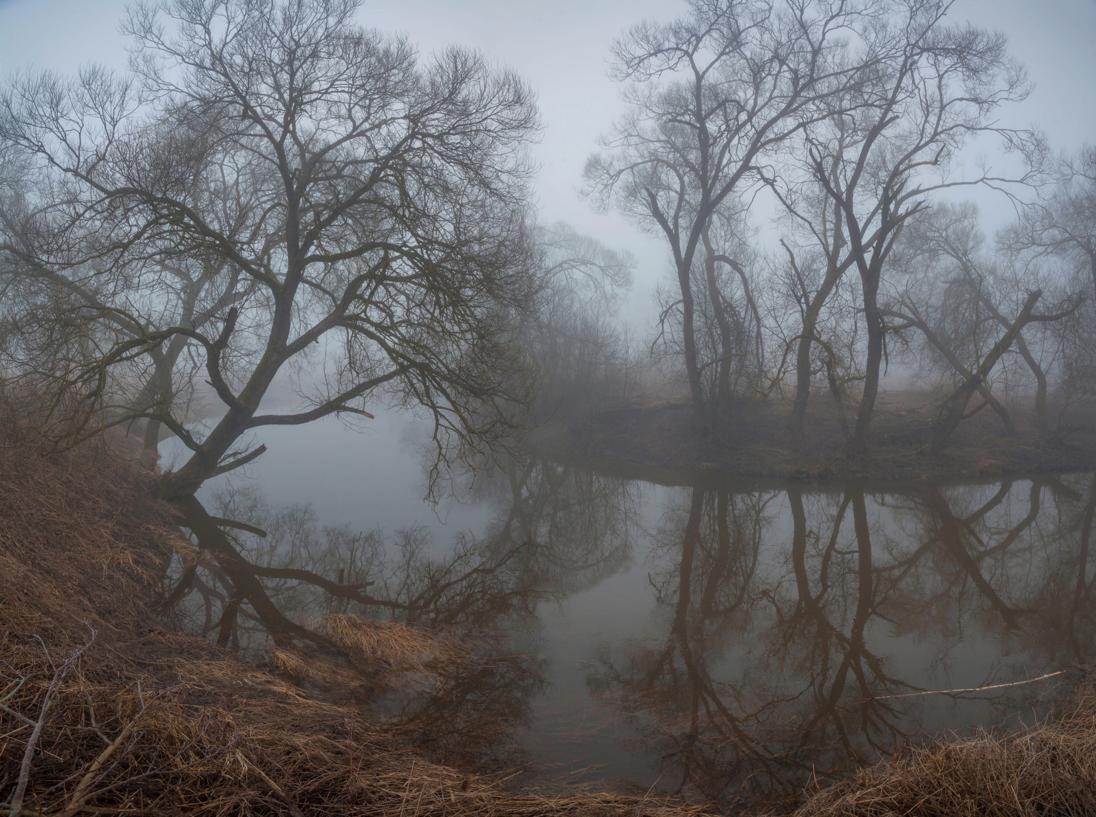 река , туман , весна photo preview