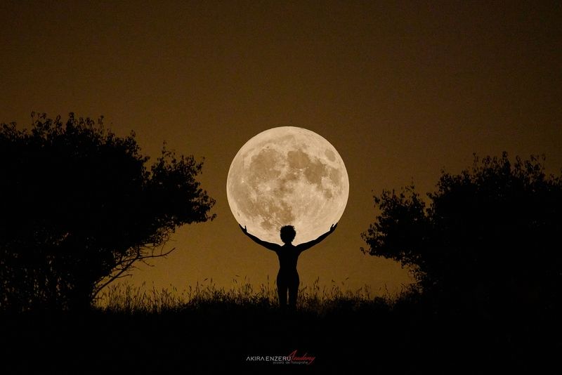 The Moon IIphoto preview