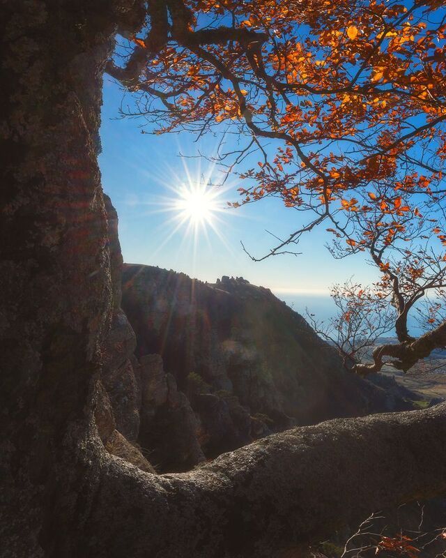 В лучах утреннего солнцаphoto preview