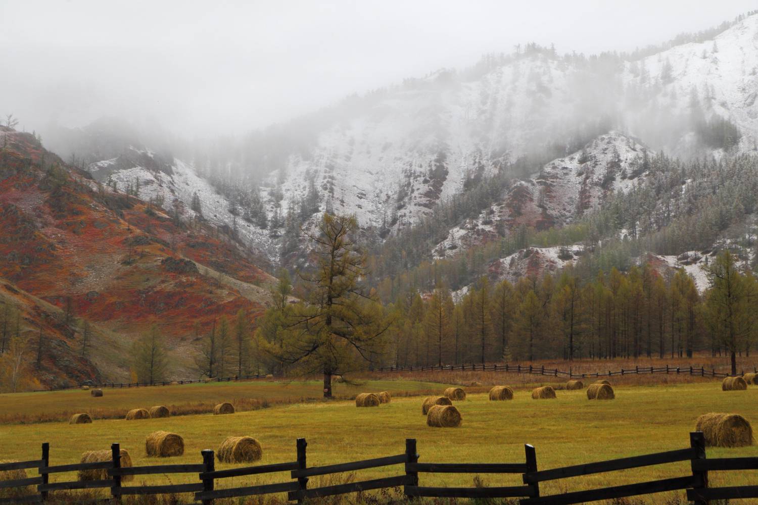 , Евгений Зинов