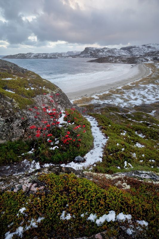 Россия, кольский, север, море, russia, north, sea Природа севера фото превью