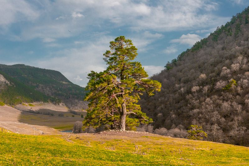 Ущелье Маруха. КЧР.photo preview