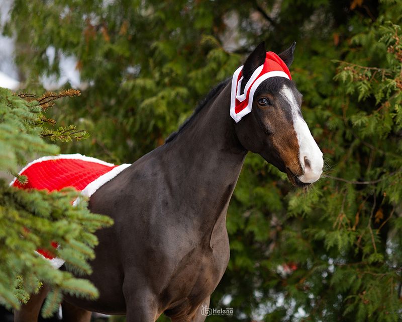 Праздник к нам приходитphoto preview