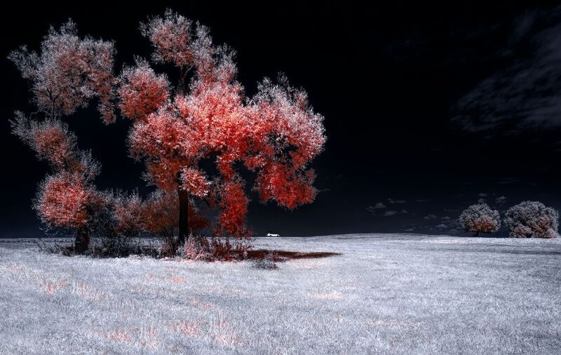 путешествия по инфракрасному миру  фото превью